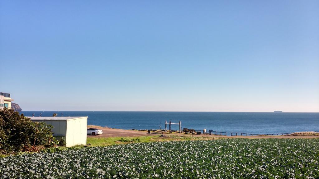 הוילה סאוגוויפו Seongsan Morning Sunset מראה חיצוני תמונה